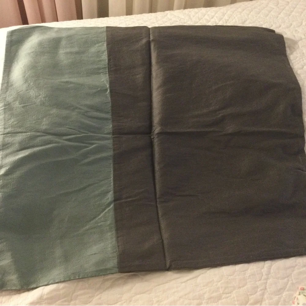 West Elm 100% Silk Pillow Shams
